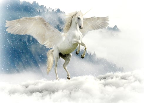 Image by cocoparisienne from Pixabay